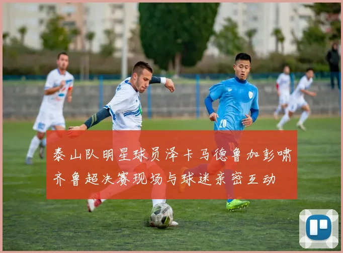 泰山队明星球员泽卡马德鲁加彭啸齐鲁超决赛现场与球迷亲密互动