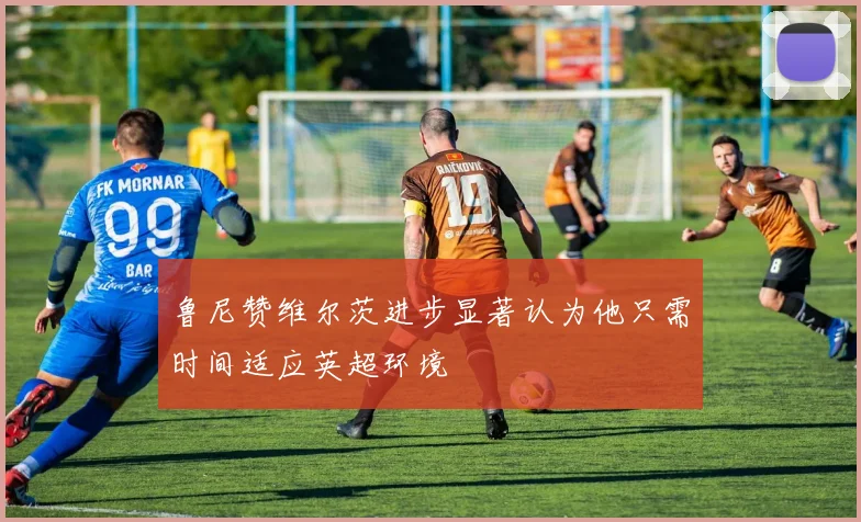 鲁尼赞维尔茨进步显著认为他只需时间适应英超环境