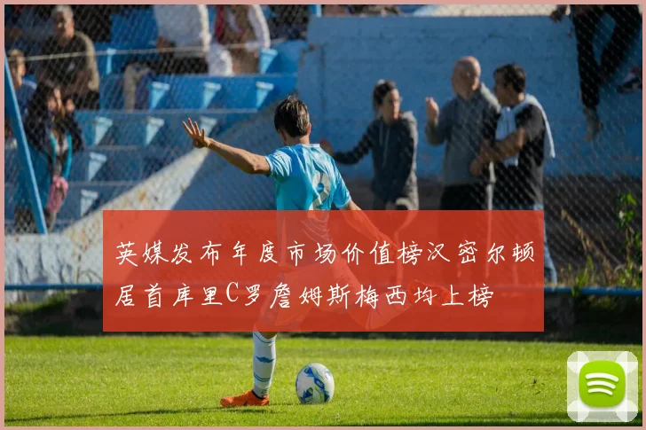 英媒发布年度市场价值榜汉密尔顿居首库里C罗詹姆斯梅西均上榜